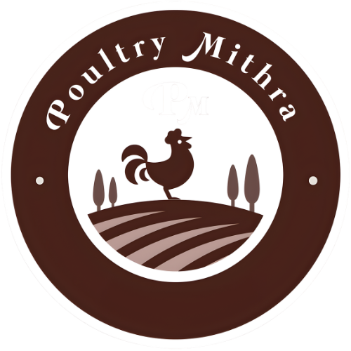 Untitled design - 2025-12-05T210817.503